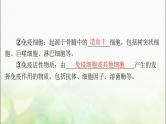 高考生物一轮复习选择性必修1第4章免疫调节课件