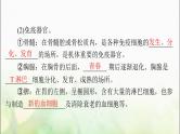 高考生物一轮复习选择性必修1第4章免疫调节课件