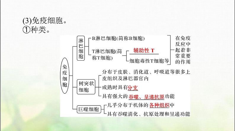 高考生物一轮复习选择性必修1第4章免疫调节课件07