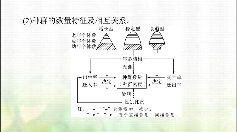 高考生物一轮复习选择性必修2第1章种群及其动态课件04