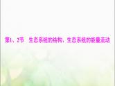 高考生物一轮复习选择性必修2第3章第1、2节生态系统的结构、生态系统的能量流动课件