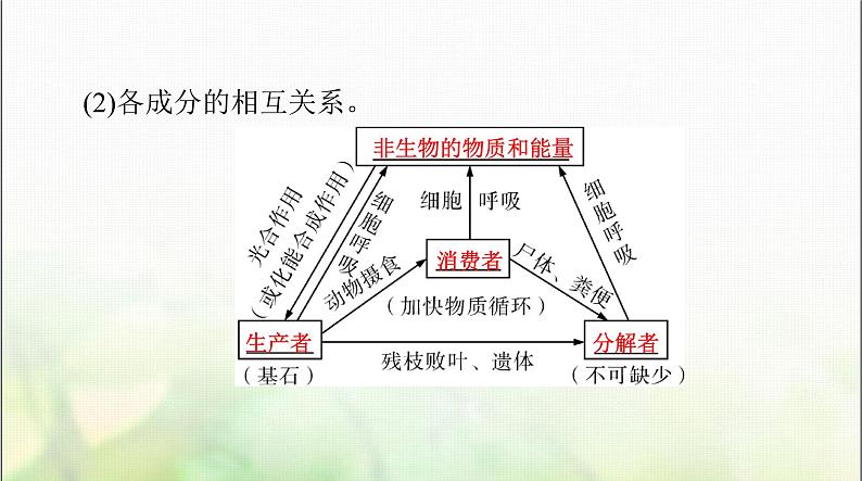 高考生物一轮复习选择性必修2第3章第1、2节生态系统的结构、生态系统的能量流动课件08