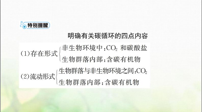 高考生物一轮复习选择性必修2第3章第3、4、5节生态系统的物质循环、生态系统的信息传递、生态系统的稳定性课件第5页