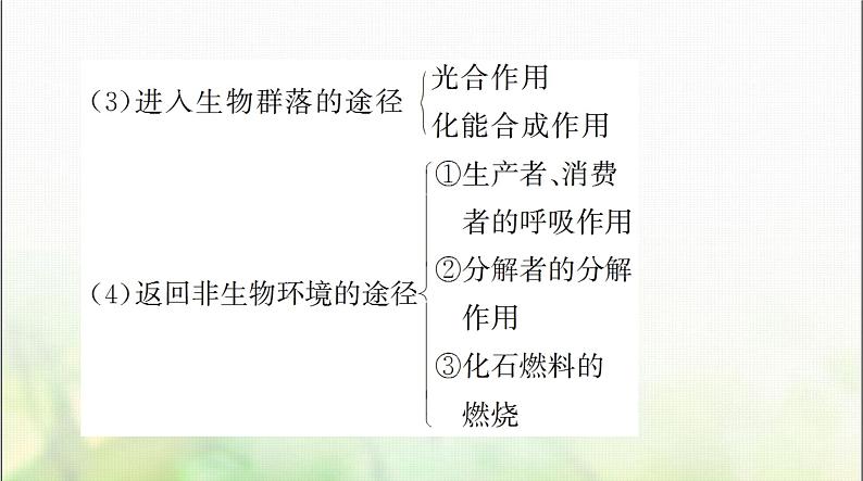 高考生物一轮复习选择性必修2第3章第3、4、5节生态系统的物质循环、生态系统的信息传递、生态系统的稳定性课件第6页