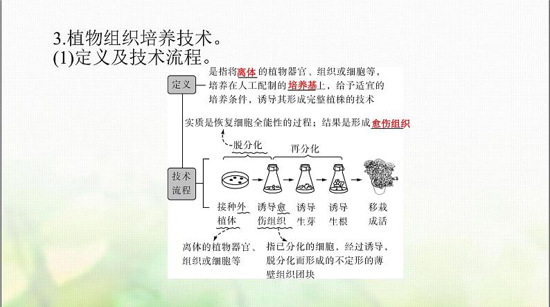 高考生物一轮复习选择性必修3第2章细胞工程课件06