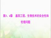 高考生物一轮复习选择性必修3第3、4章基因工程、生物技术的安全性和伦理问题课件