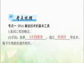 高考生物一轮复习选择性必修3第3、4章基因工程、生物技术的安全性和伦理问题课件