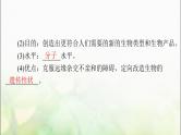 高考生物一轮复习选择性必修3第3、4章基因工程、生物技术的安全性和伦理问题课件