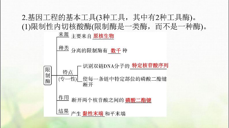 高考生物一轮复习选择性必修3第3、4章基因工程、生物技术的安全性和伦理问题课件06