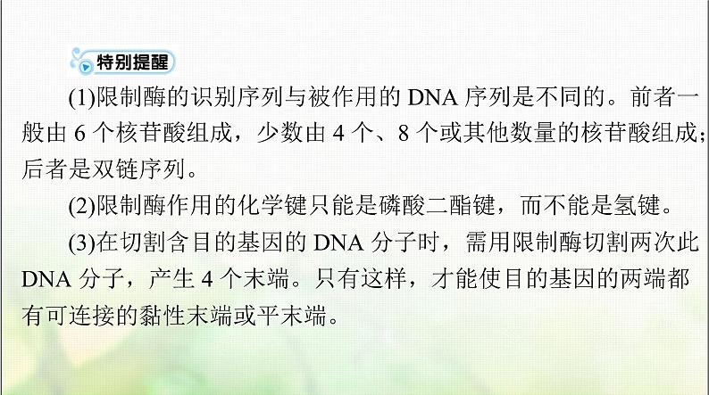 高考生物一轮复习选择性必修3第3、4章基因工程、生物技术的安全性和伦理问题课件07