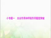 高考生物一轮复习必修1小专题一光合作用和呼吸作用题型突破课件