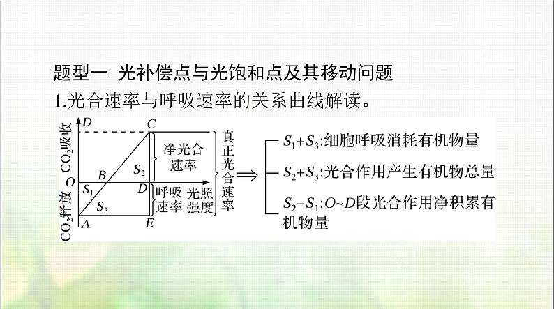 高考生物一轮复习必修1小专题一光合作用和呼吸作用题型突破课件第2页