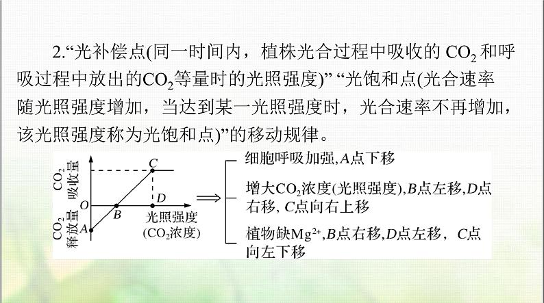 高考生物一轮复习必修1小专题一光合作用和呼吸作用题型突破课件第3页