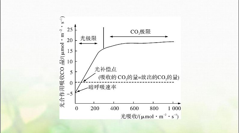 高考生物一轮复习必修1小专题一光合作用和呼吸作用题型突破课件第7页