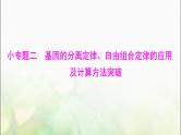 高考生物一轮复习必修2小专题二基因的分离定律、自由组合定律的应用及计算方法突破课件
