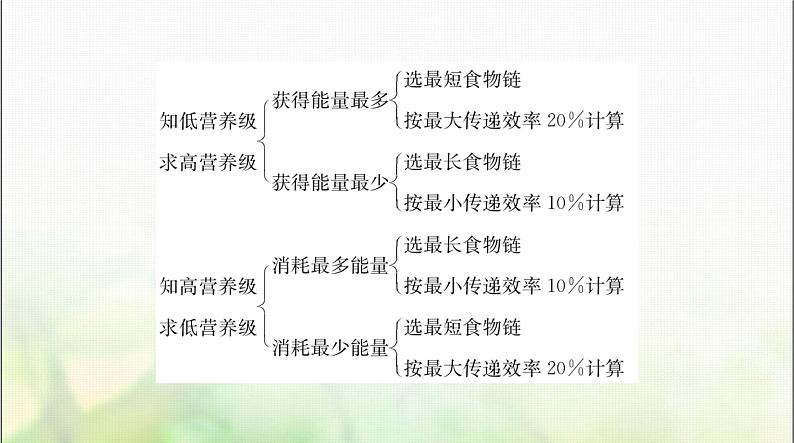 高考生物一轮复习选择性必修2小专题四生态系统中能量流动的相关计算课件第4页