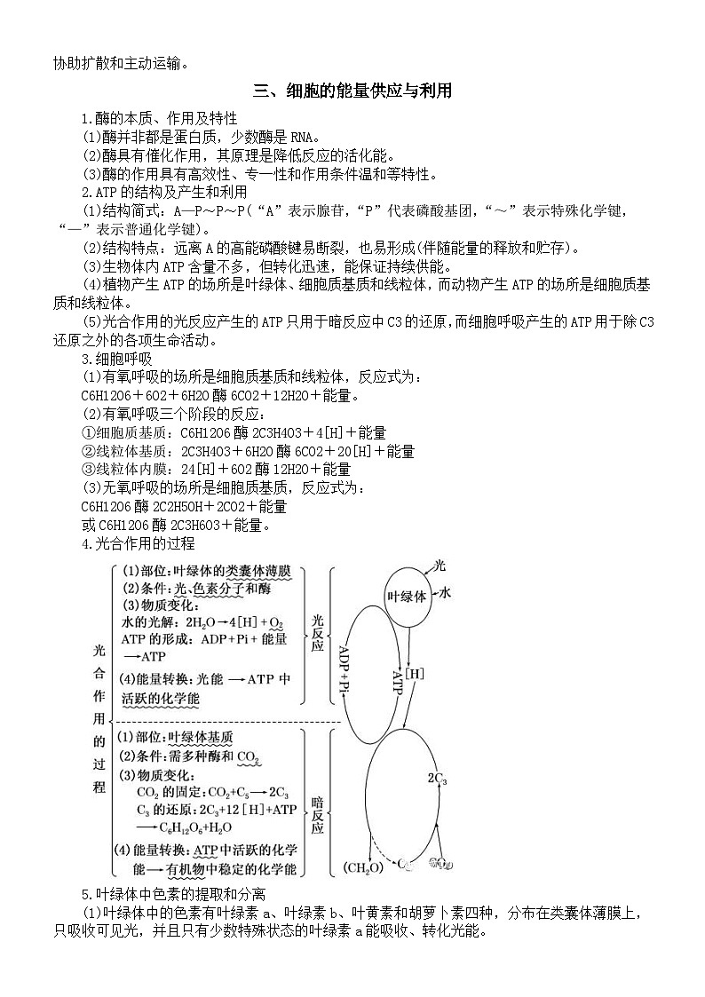 高中生物2025届高考模块知识点精编（共十三类）第2页