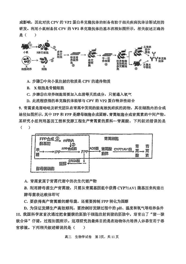 天津市四校联考2023-2024学年高二下学期7月期末考试生物试卷（PDF版附答案）03