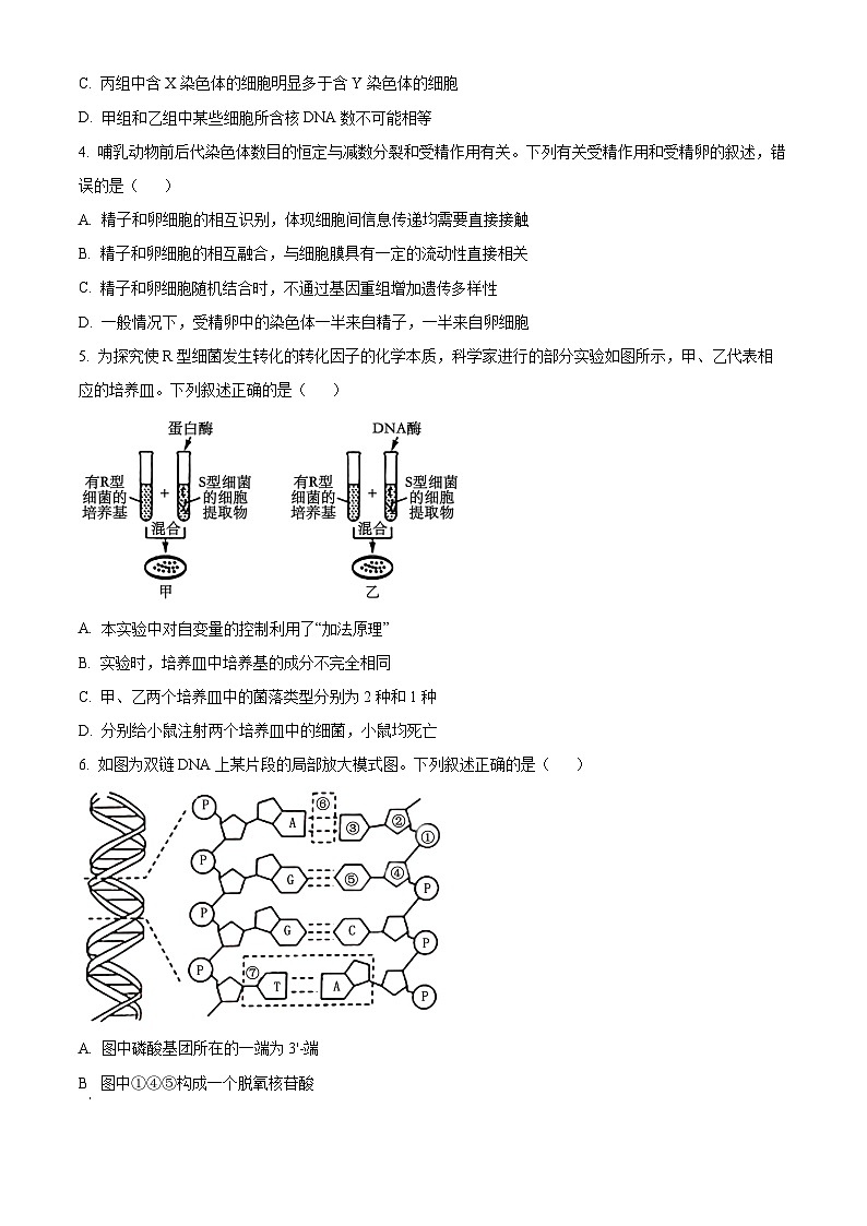 广西河池市2023-2024学年高一下学期7月期末考试生物试卷（Word版附解析）02