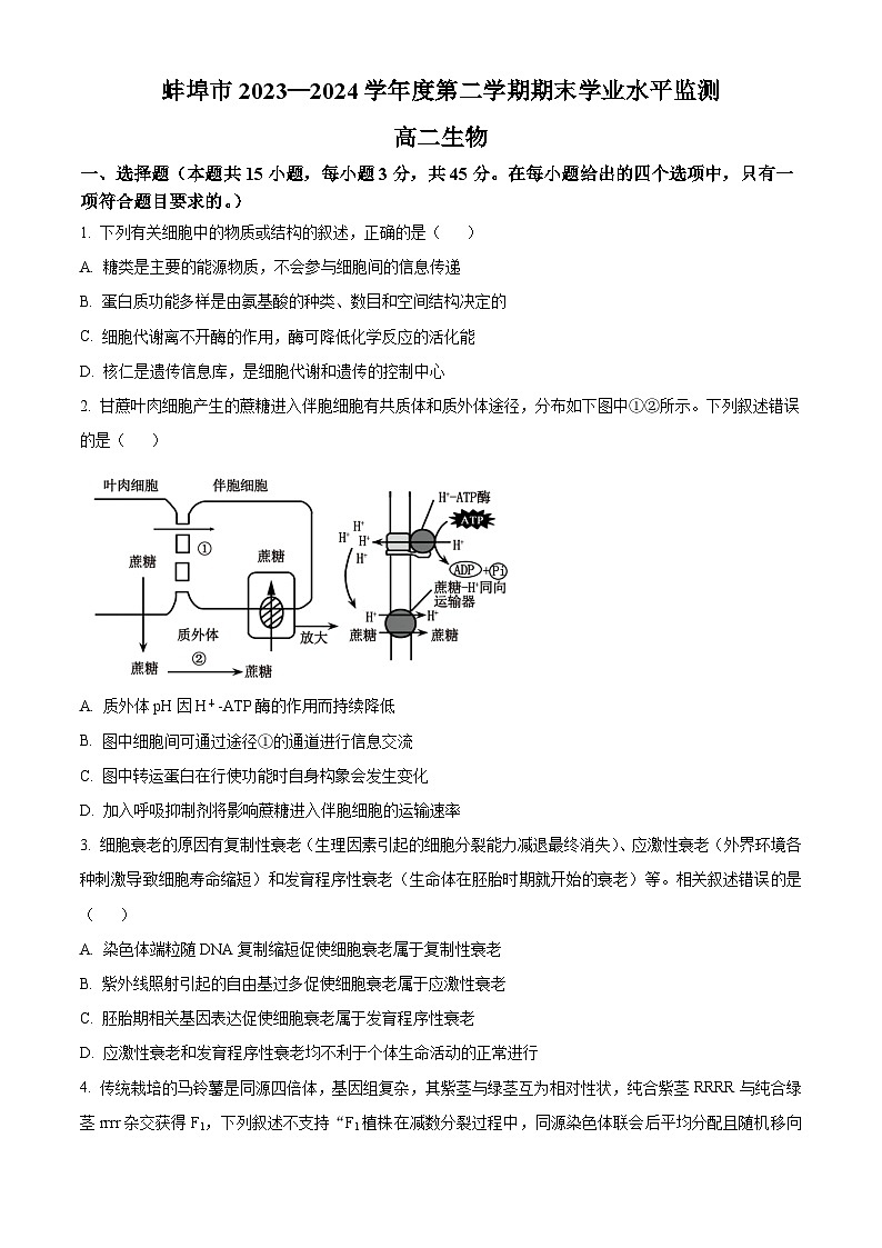 安徽省蚌埠市2023-2024学年高二下学期7月期末考试生物试卷（Word版附解析）01
