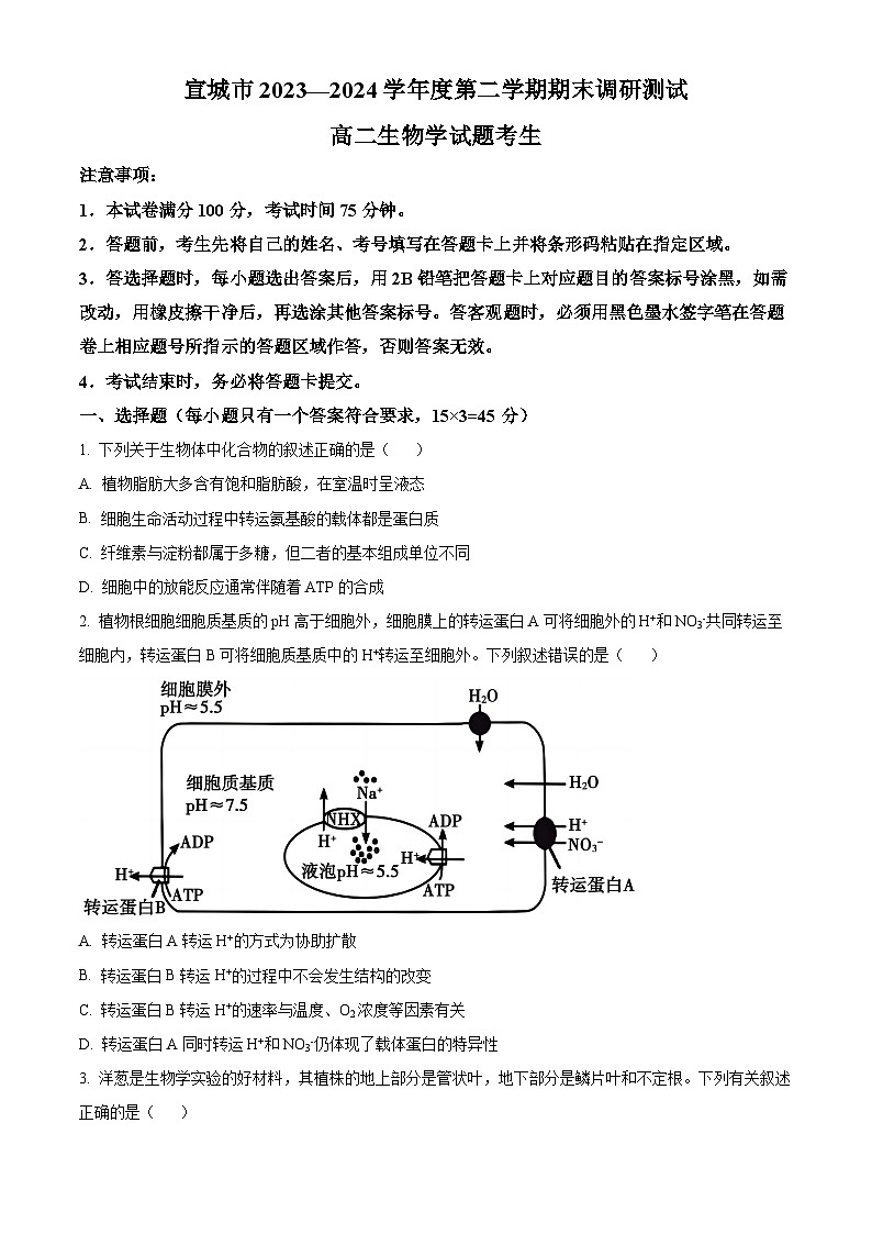 安徽省宣城市2023-2024学年高二下学期期末考试生物试卷（Word版附解析）01