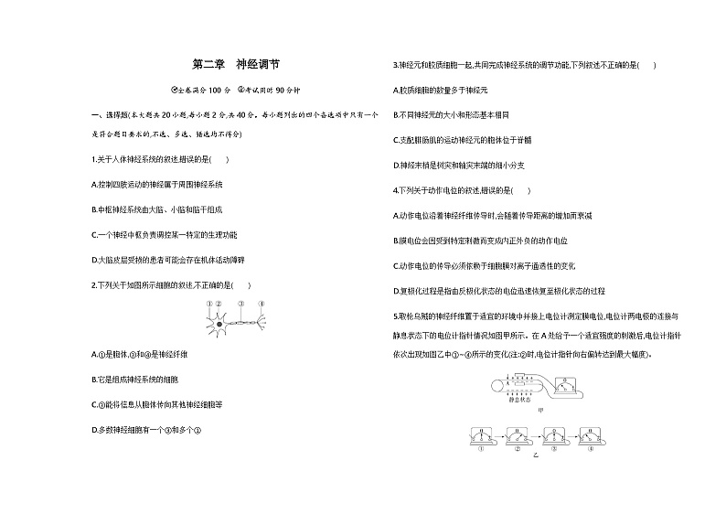 浙科版高中生物选择性必修1稳态与调节第2章神经调节检测含答案01