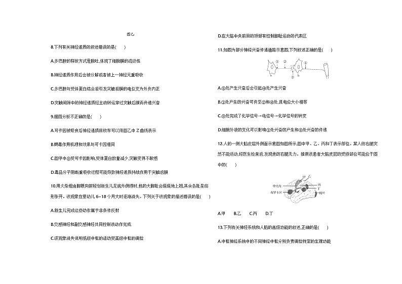 浙科版高中生物选择性必修1稳态与调节第2章神经调节检测含答案03