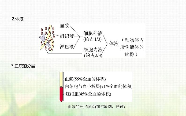 浙科版高中生物选择性必修1稳态与调节第1章内环境与稳态第1节人体细胞生活在内环境中课件03