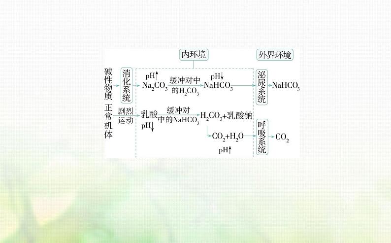 浙科版高中生物选择性必修1稳态与调节第1章内环境与稳态第1节人体细胞生活在内环境中课件08