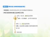 浙科版高中生物选择性必修1稳态与调节第2章神经调节第1节神经系统是神经调节的结构基础课件