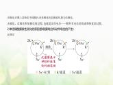 浙科版高中生物选择性必修1稳态与调节第2章神经调节第2节神经冲动的产生和传导课件