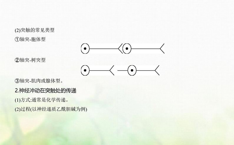 浙科版高中生物选择性必修1稳态与调节第2章神经调节第2节神经冲动的产生和传导课件07