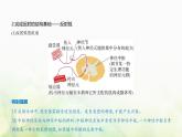 浙科版高中生物选择性必修1稳态与调节第2章神经调节第3节人体通过神经调节对刺激做出反应课件