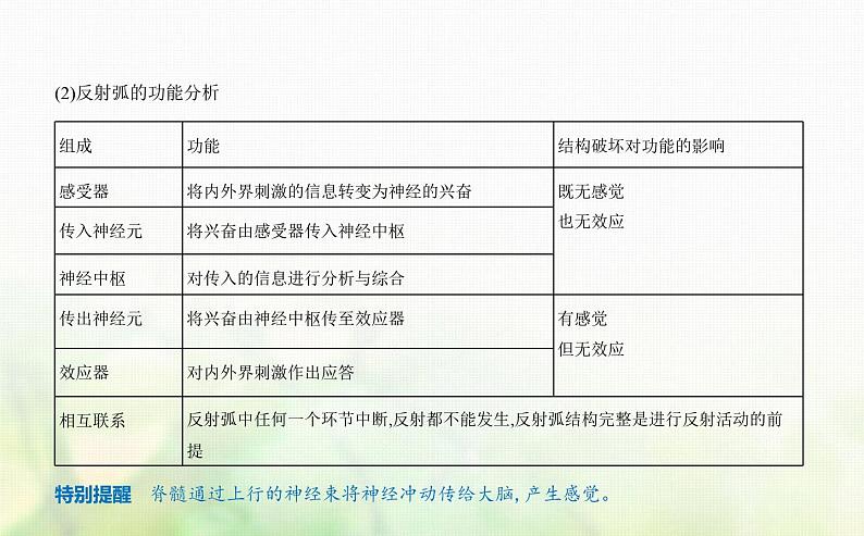 浙科版高中生物选择性必修1稳态与调节第2章神经调节第3节人体通过神经调节对刺激做出反应课件03