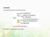 浙科版高中生物选择性必修1稳态与调节第2章神经调节第3节人体通过神经调节对刺激做出反应课件