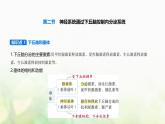浙科版高中生物选择性必修1稳态与调节第3章体液调节第2节神经系统通过下丘脑控制内分泌系统课件