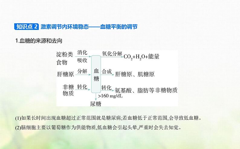 浙科版高中生物选择性必修1稳态与调节第3章体液调节第3节激素调节身体多种机能课件04