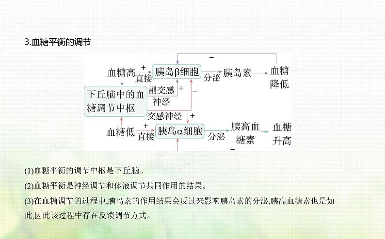 浙科版高中生物选择性必修1稳态与调节第3章体液调节第3节激素调节身体多种机能课件06