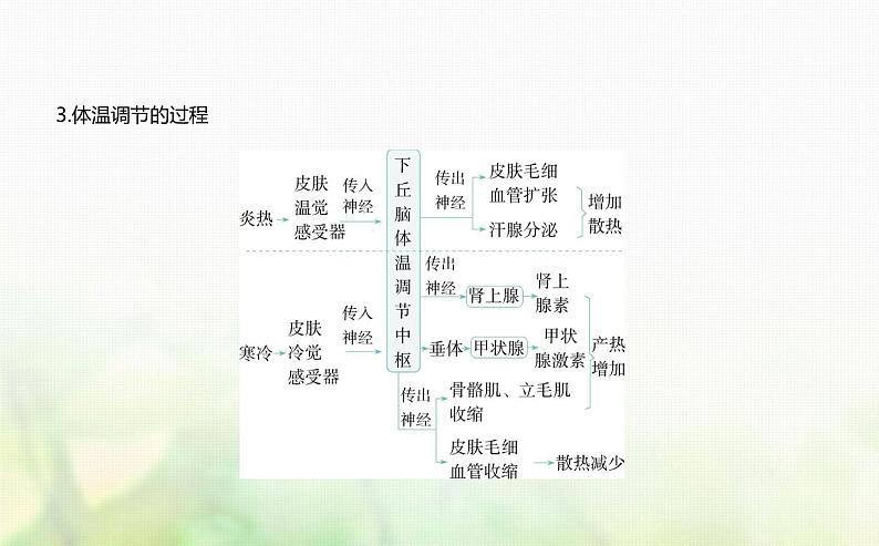 浙科版高中生物选择性必修1稳态与调节第3章体液调节第4节体液调节与神经调节共同维持机体的稳态课件第5页