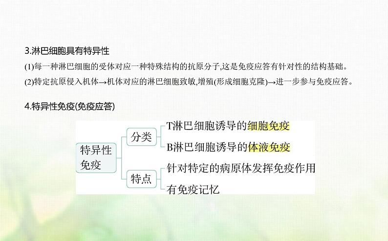 浙科版高中生物选择性必修1稳态与调节第4章免疫调节第3节人体通过特异性免疫对抗病原体课件03