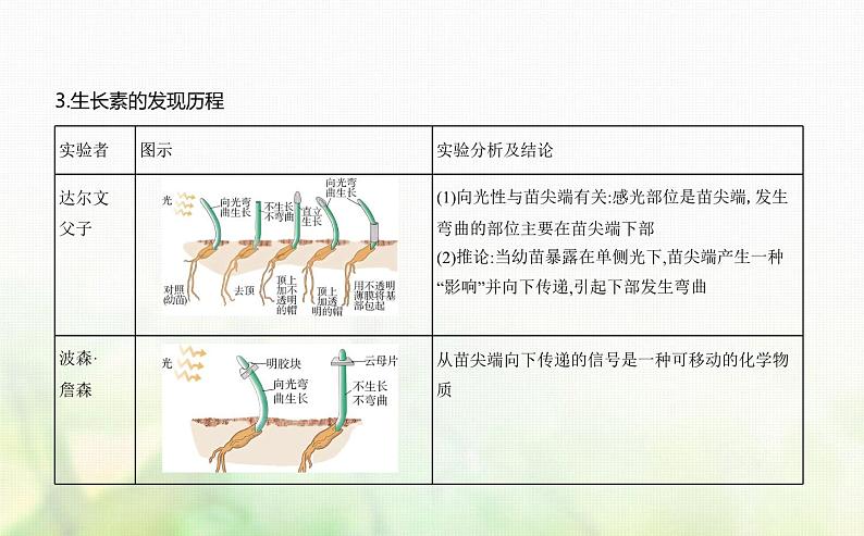 浙科版高中生物选择性必修1稳态与调节第5章第1节生长素的发现开启了人类对植物激素调节的探索课件第2页