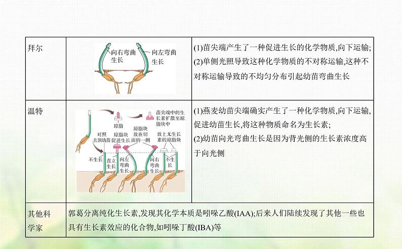 浙科版高中生物选择性必修1稳态与调节第5章第1节生长素的发现开启了人类对植物激素调节的探索课件第3页