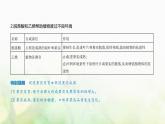 浙科版高中生物选择性必修1稳态与调节第5章植物生命活动的调节第2节植物激素调节植物生命活动课件