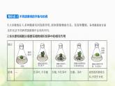 浙科版高中生物选择性必修1稳态与调节第5章植物生命活动的调节第2节植物激素调节植物生命活动课件