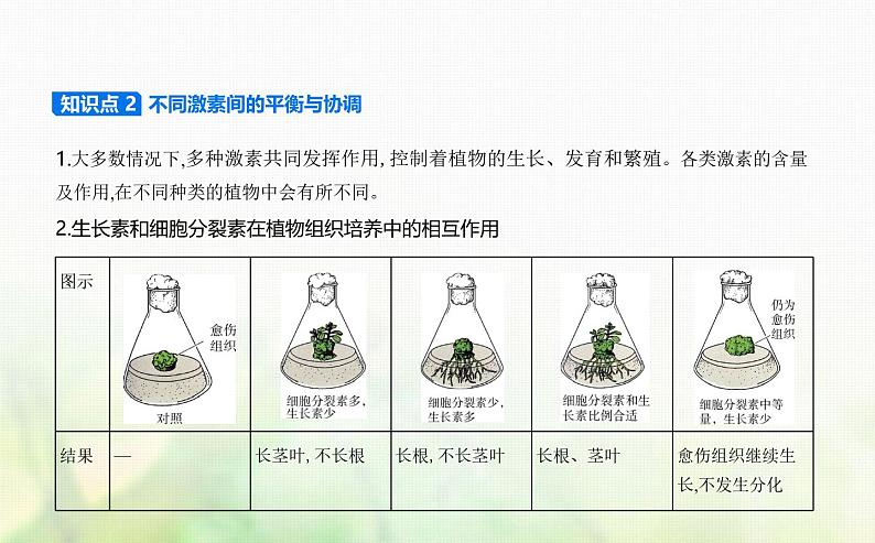 浙科版高中生物选择性必修1稳态与调节第5章植物生命活动的调节第2节植物激素调节植物生命活动课件第3页