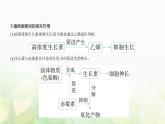 浙科版高中生物选择性必修1稳态与调节第5章植物生命活动的调节第2节植物激素调节植物生命活动课件