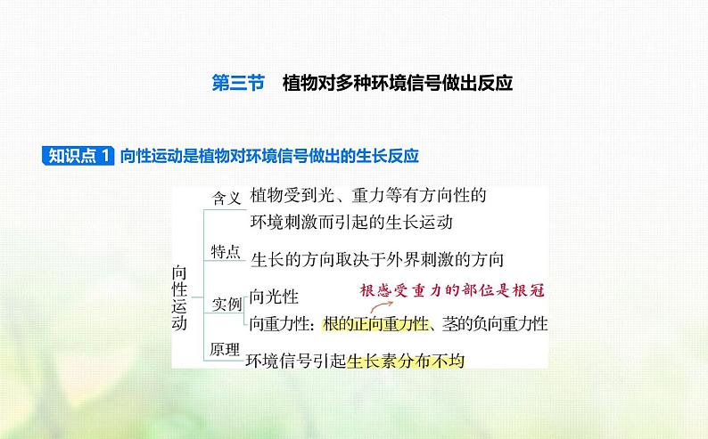 浙科版高中生物选择性必修1稳态与调节第5章植物生命活动的调节第3节植物对多种环境信号做出反应课件第1页