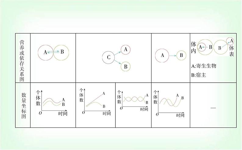 人教版高中生物选择性必修2生物与环境生物第2章群落及其演替第1节群落的结构课件第4页