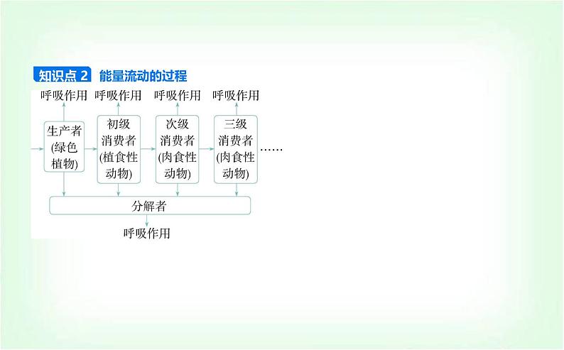 人教版高中生物选择性必修2生物与环境生物第3章生态系统及其稳定性第2节生态系统的能量流动课件第3页