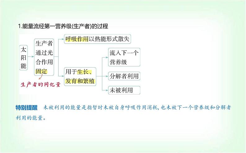 人教版高中生物选择性必修2生物与环境生物第3章生态系统及其稳定性第2节生态系统的能量流动课件第4页